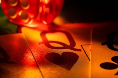 বিঙ্গো অ্যাডভেঞ্চার